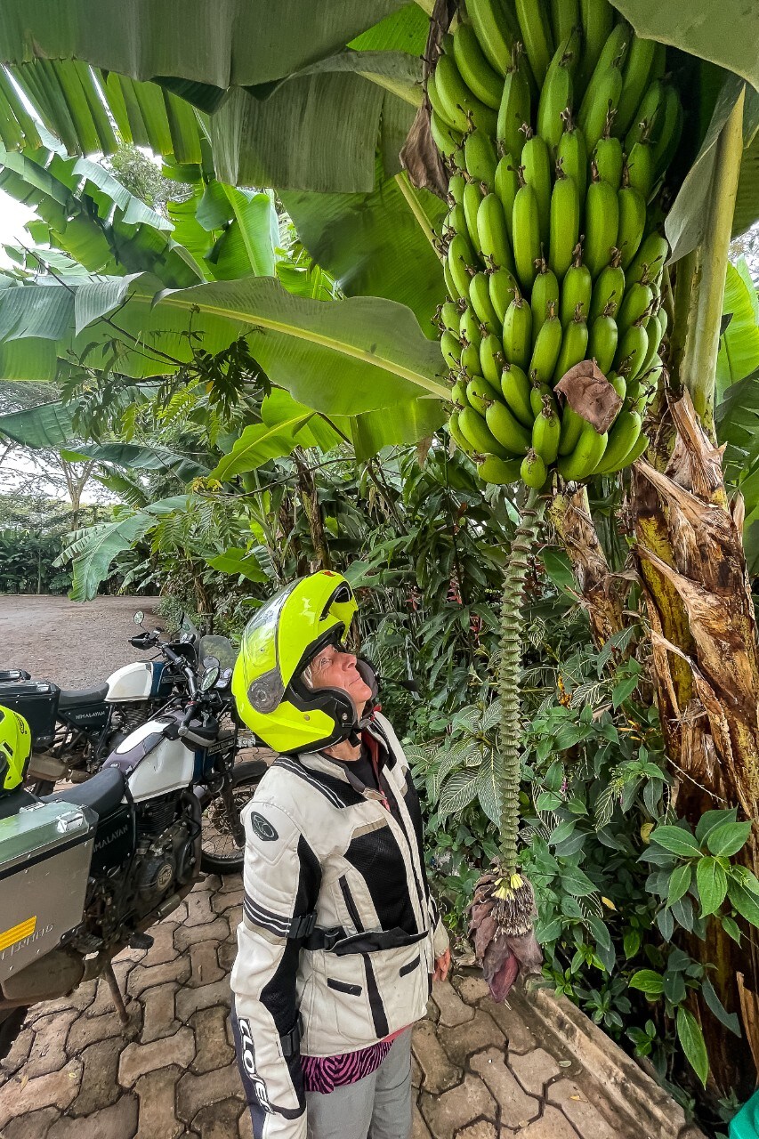 Turismo: Transafrica